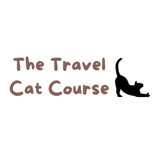 Thetravelcatcourse.com